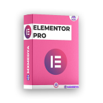 Elementor PRO
