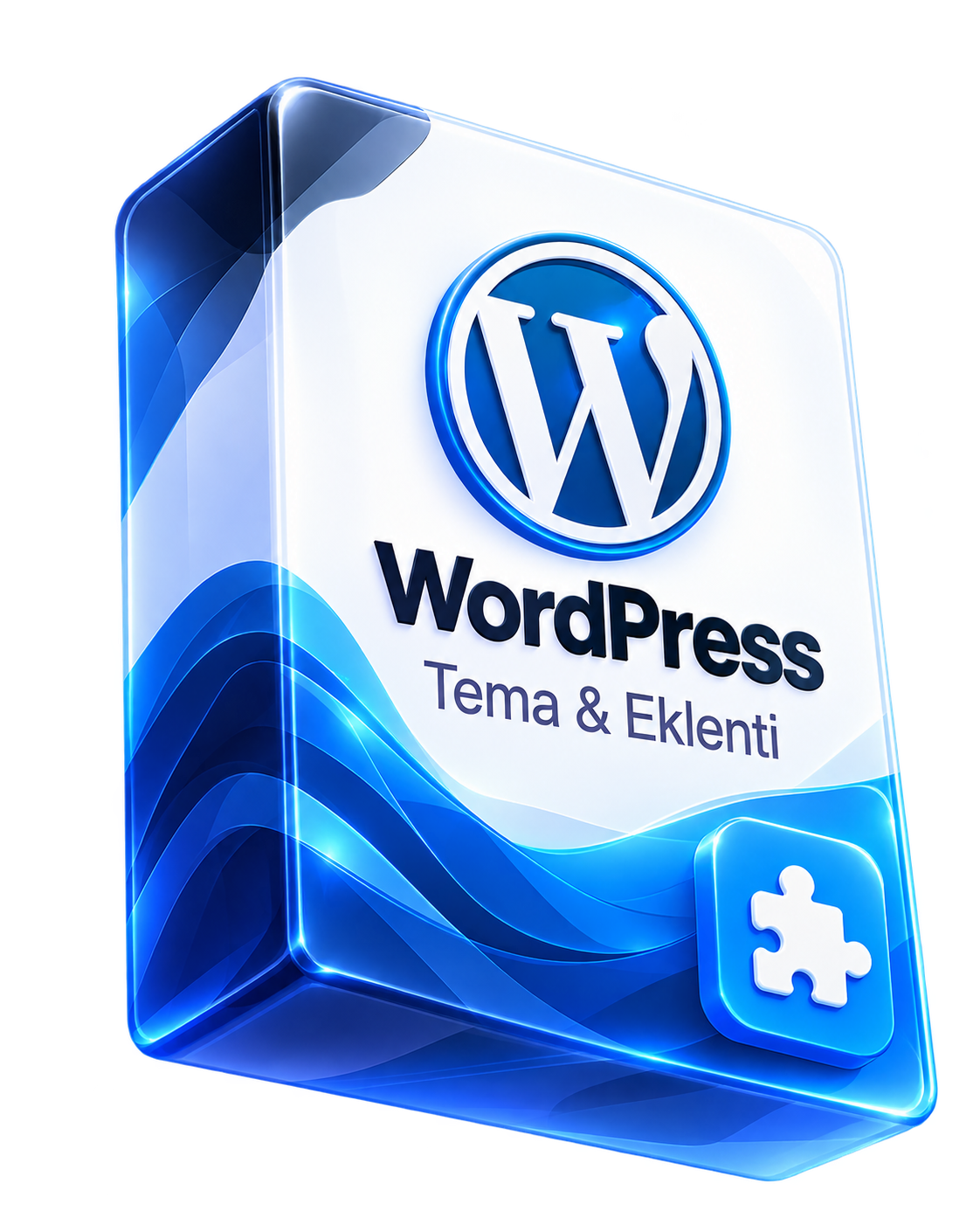 WordPress